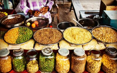 Bridging Two Nations: Unlocking Trade Potential Between India and Somalia